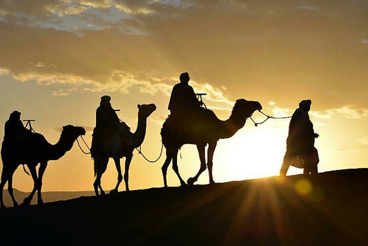 Marokayn - Balade à dos de chameau au coucher du soleil à Agadir avec un délicieux barbecue et couscous