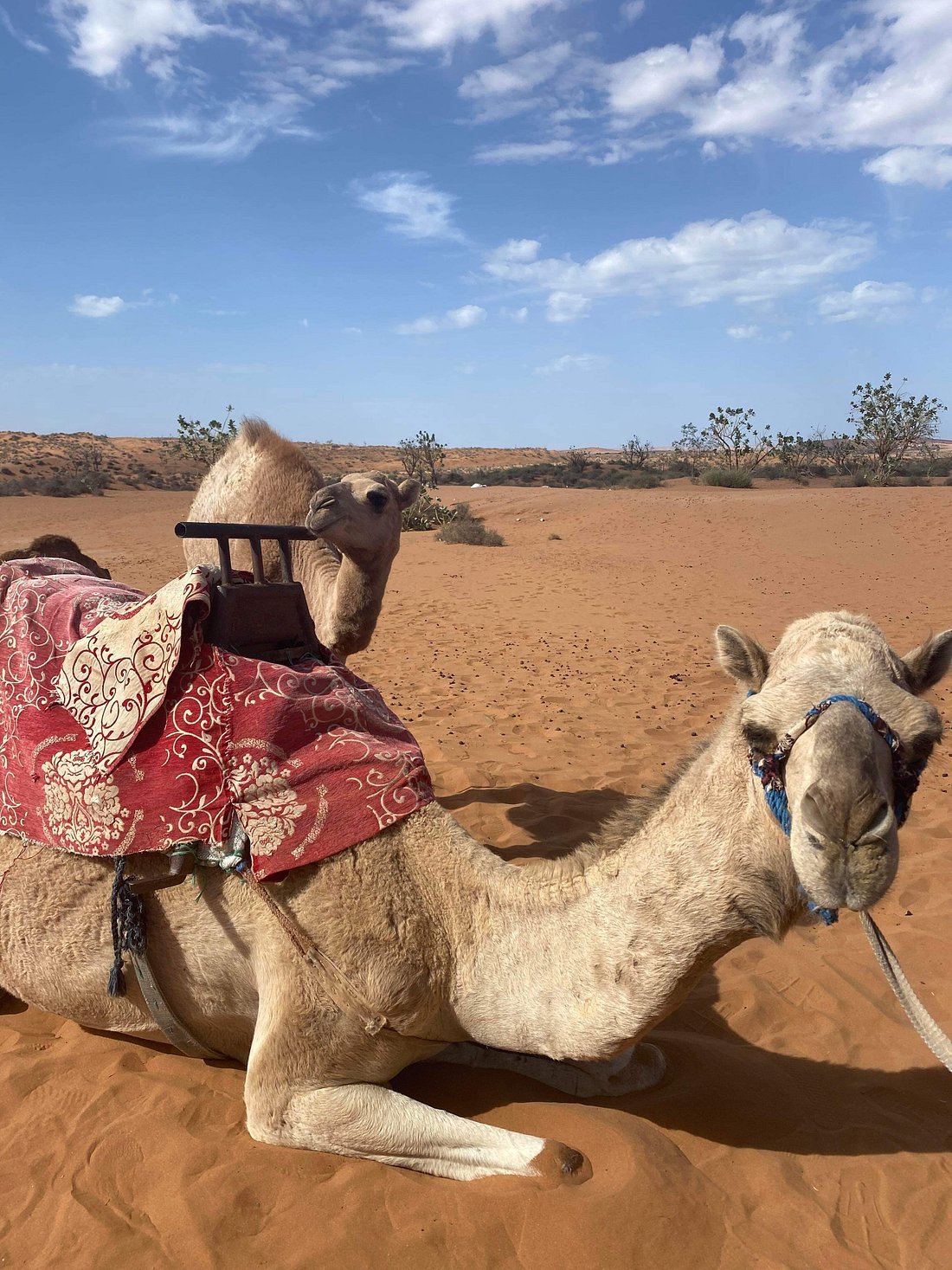 Marokayn - Excursion dans le désert d'El Borj au départ d'Agadir - 2 jours
